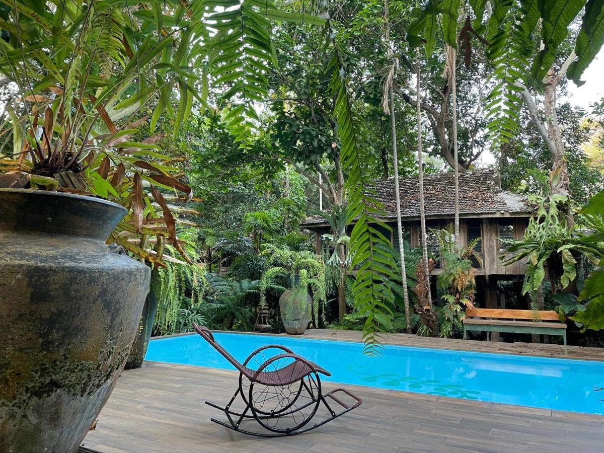 Fern Paradise Chiang Mai Bagian luar foto