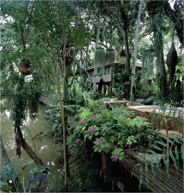 Fern Paradise Chiang Mai Bagian luar foto