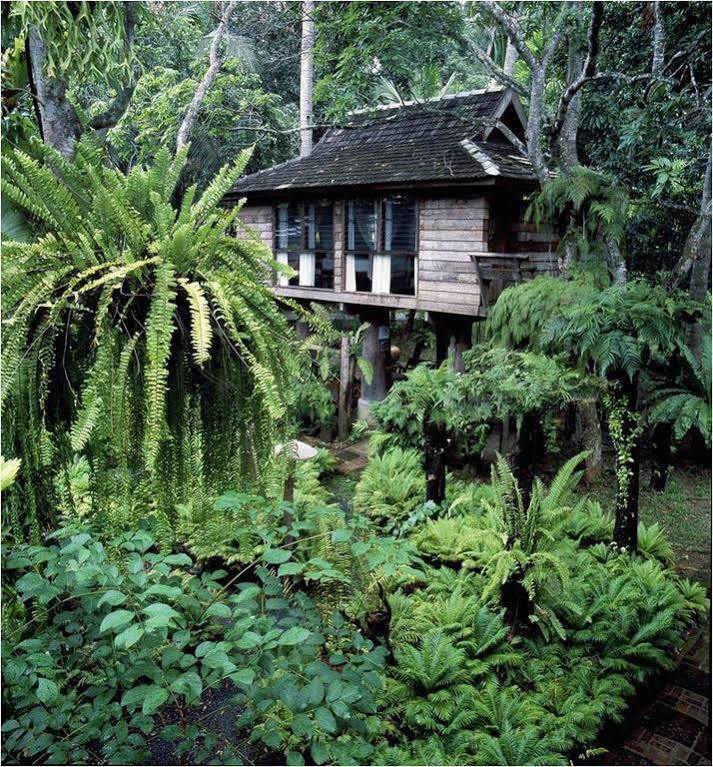 Fern Paradise Chiang Mai Bagian luar foto